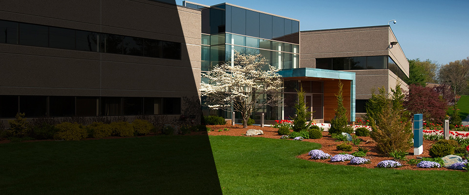Mount Morris Landscapers