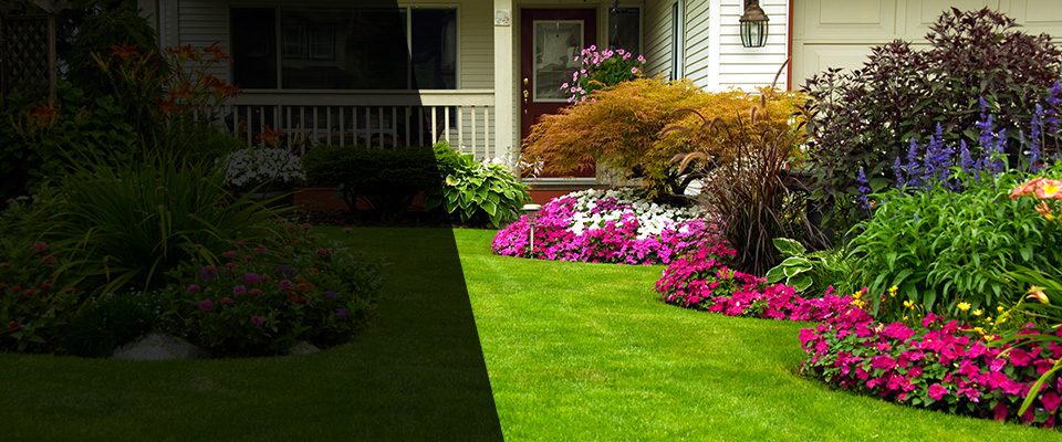 Mount Morris Landscapers