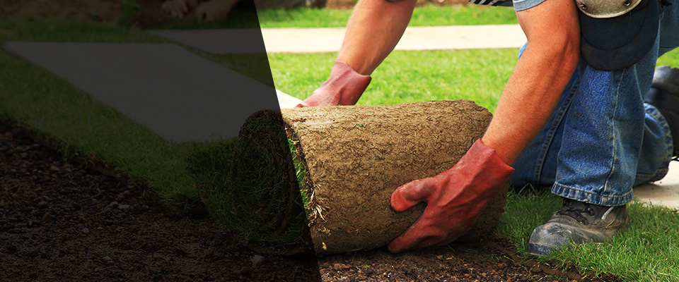Mount Morris Landscapers